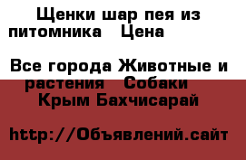 Щенки шар-пея из питомника › Цена ­ 15 000 - Все города Животные и растения » Собаки   . Крым,Бахчисарай